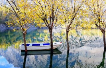 blog-grid-1-410x308